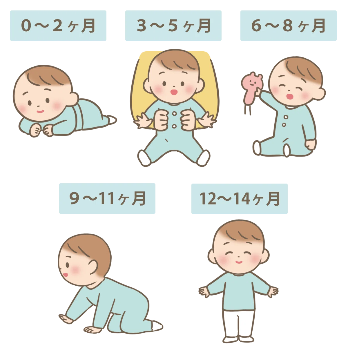 赤ちゃんの発達 順序
