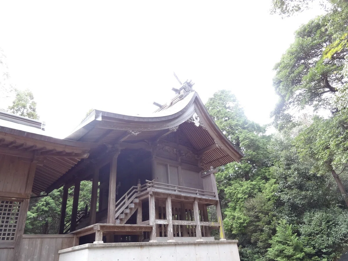 画像4