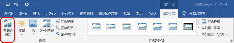 図の形式・背景の削除