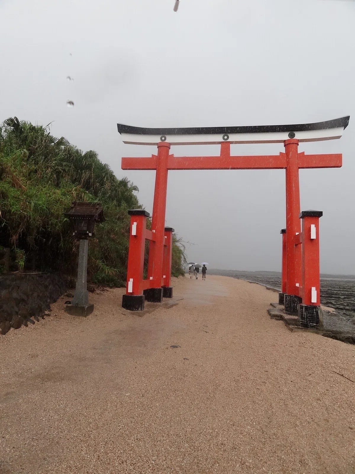 画像4