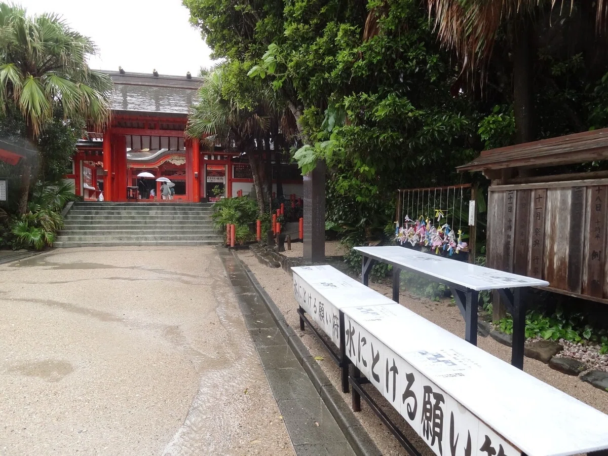 画像8