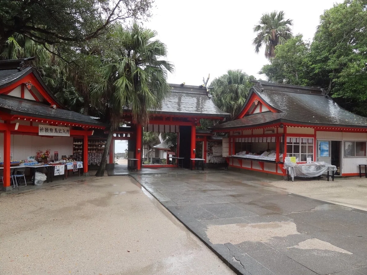 画像9