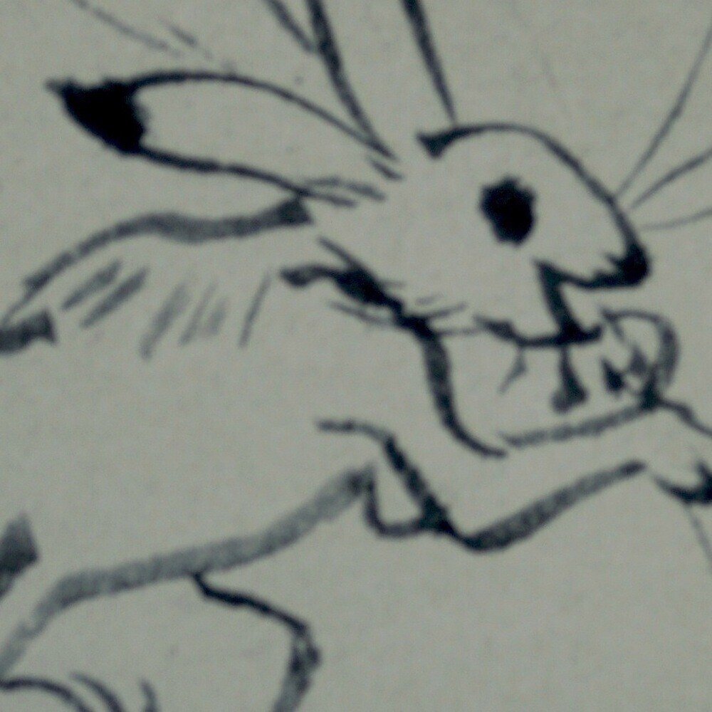 うさぎとツキにあやかりたい｜sanchi