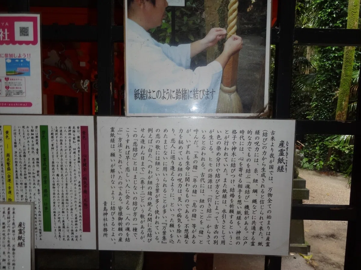 画像11