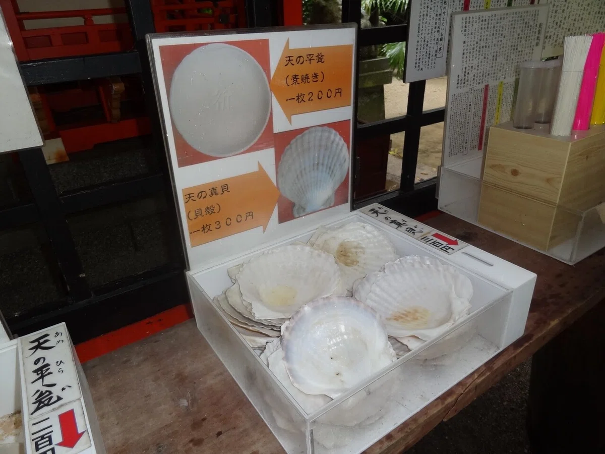 画像13