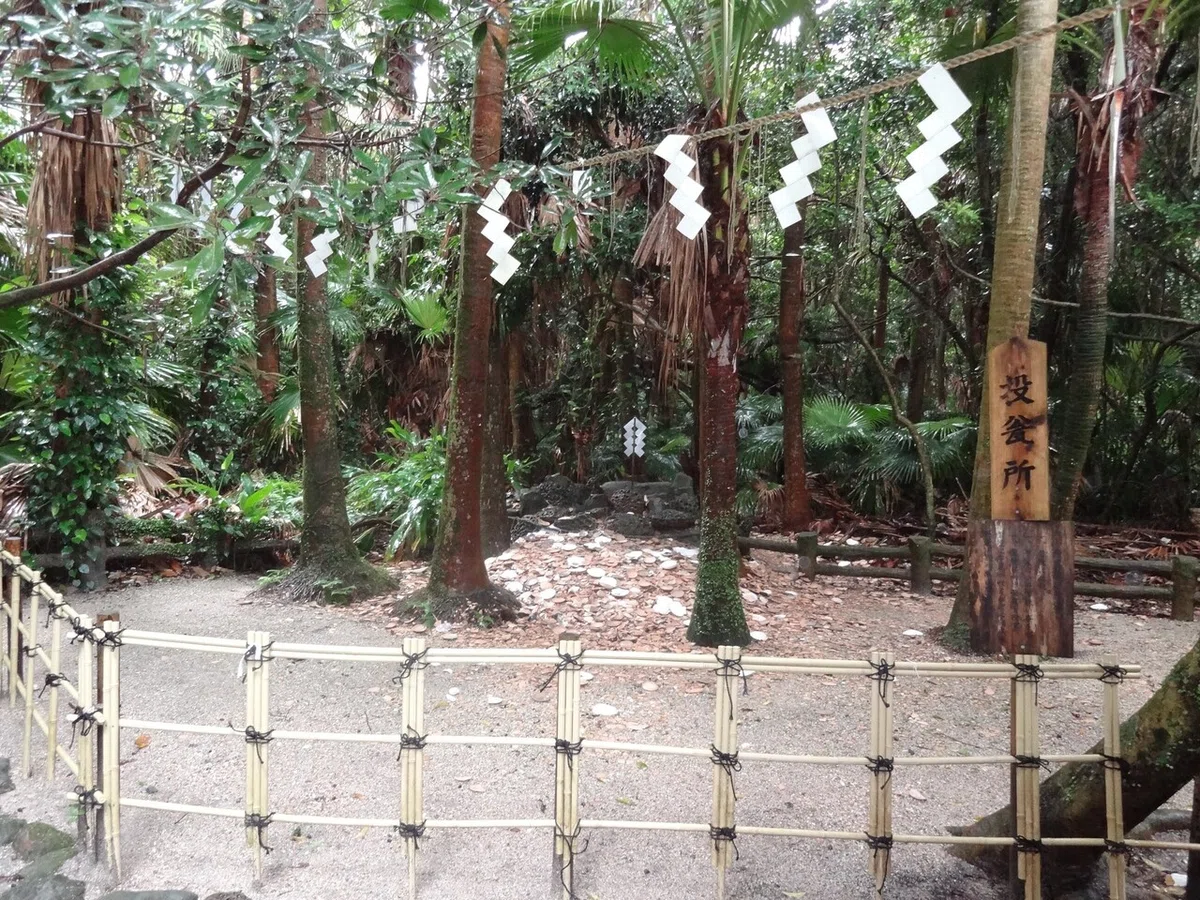 画像14