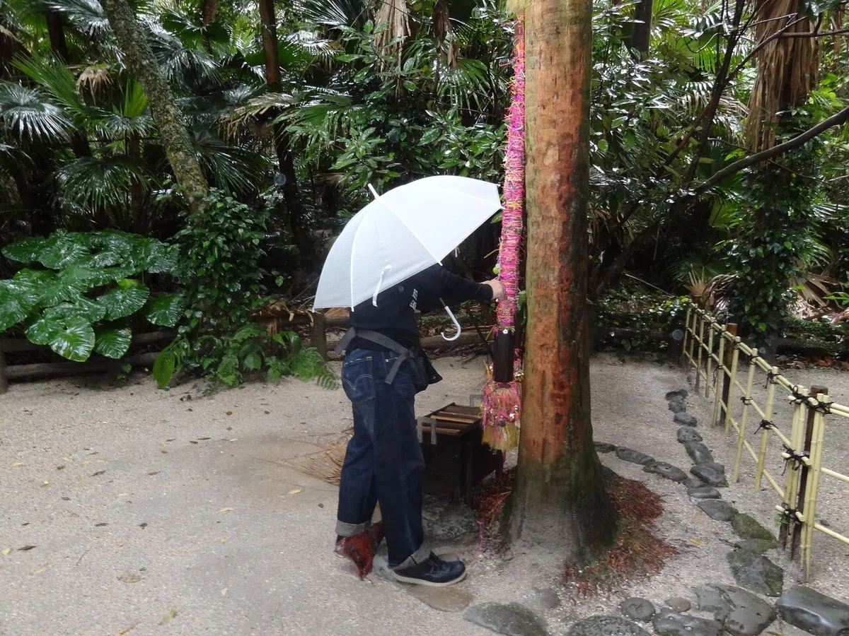 画像15