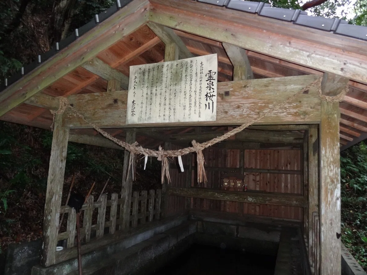 画像20