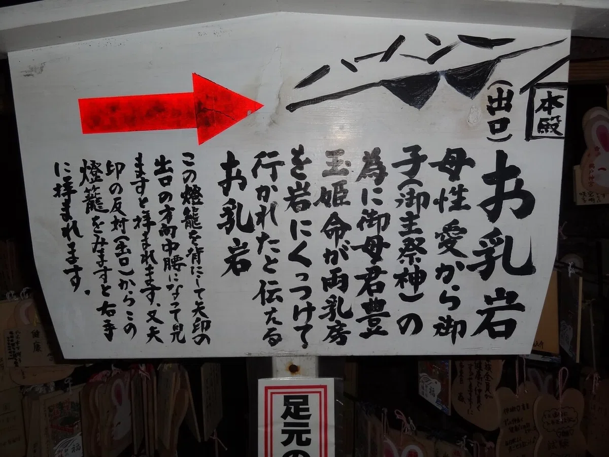 画像8