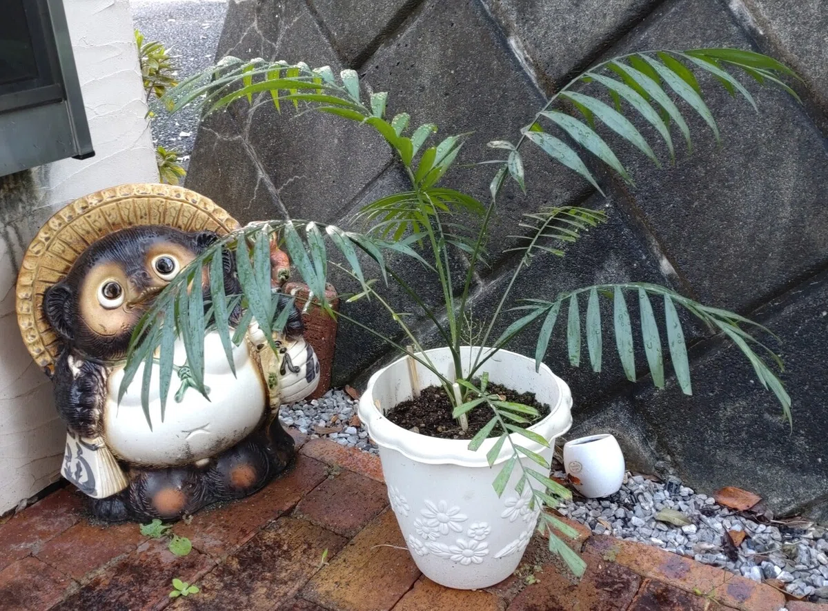 画像5