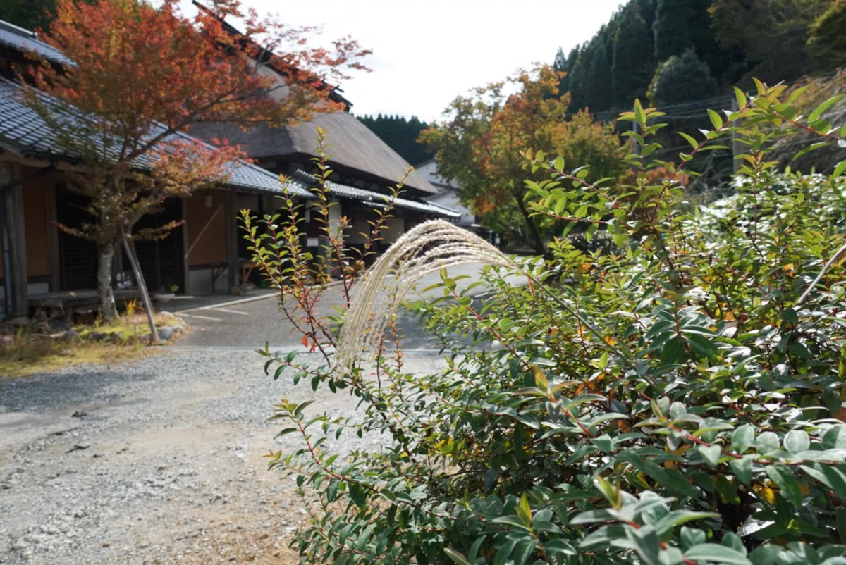 画像12