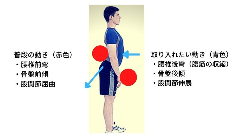 下位交差性症候群 (1)