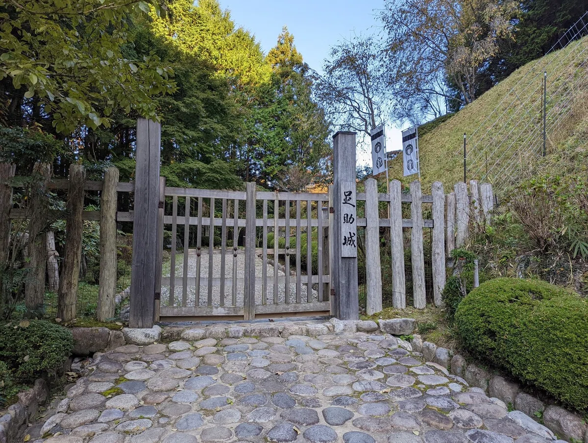 画像9