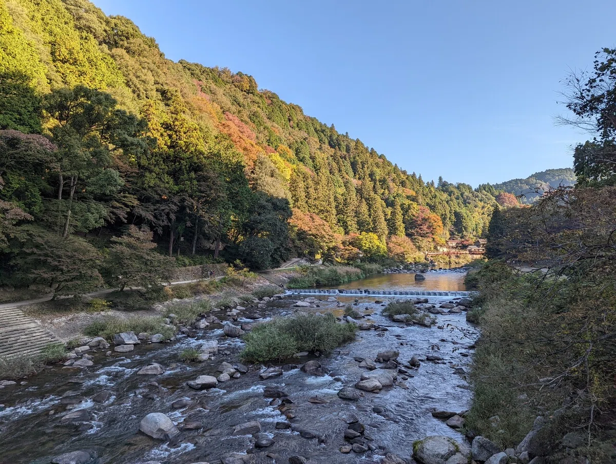 画像11