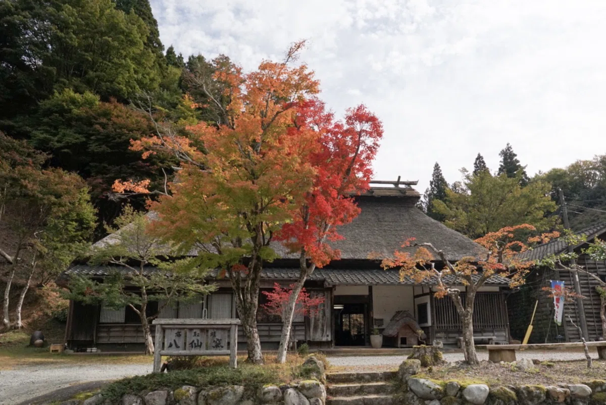 画像4