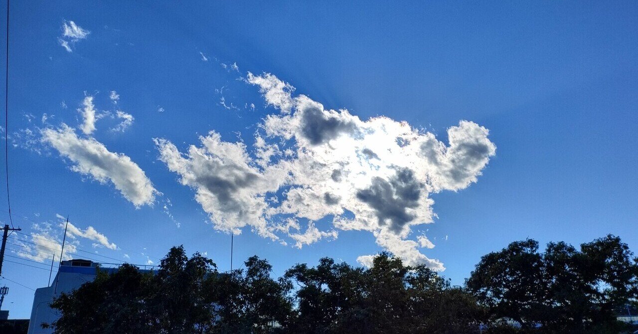 ドラマ 相棒 5 光射す 感想 パッとしない終わり方 久遠さつき Note ドラマ 相棒 5 光射す 感想 パッとしない終わり方 久遠さつき Note