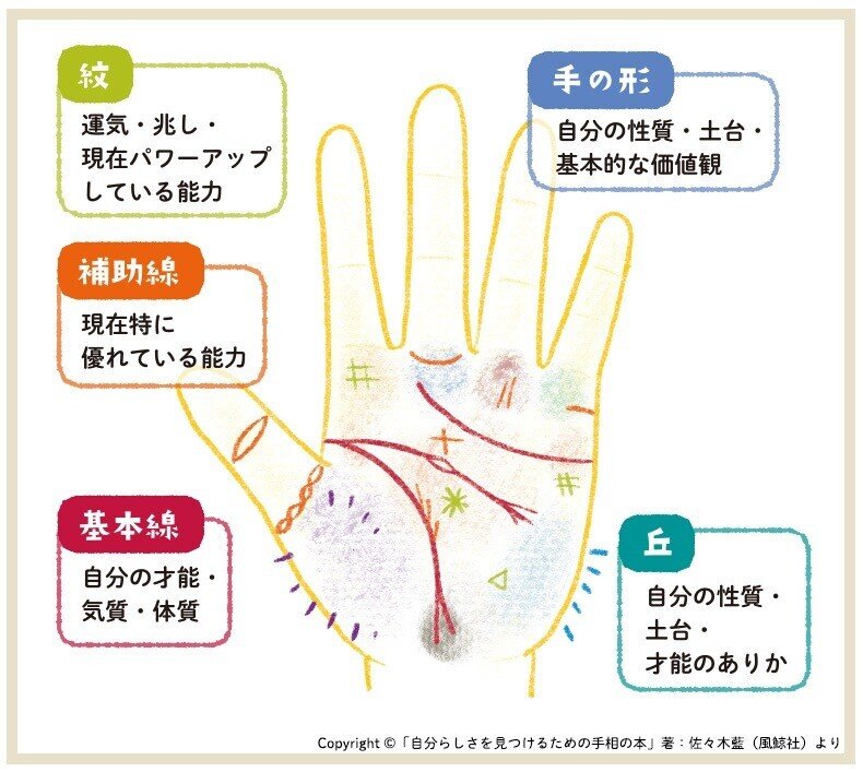 5ステップの全体図