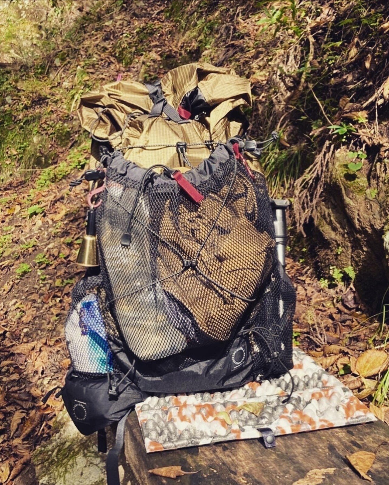 軽量な折り畳み自転車 山と道 mini2 Elm(Lサイズ)+Breathable Pad