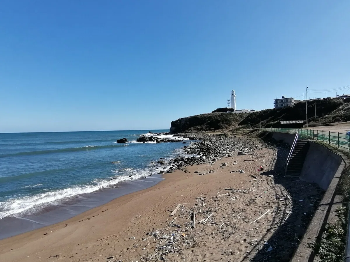君ヶ浜、逆行なし