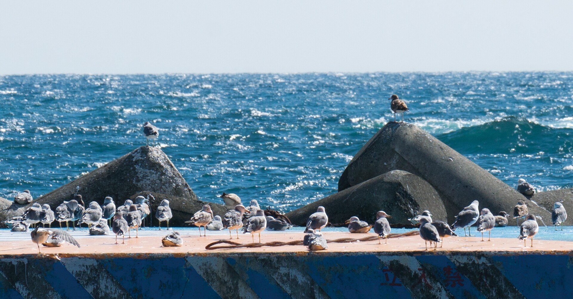 7a088ae0f63c1bb80eda5d69b998f5