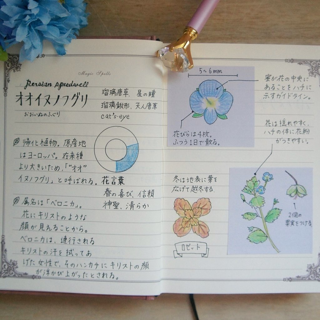 歩くのが楽しくなる 植物学ノート のつくりかた 三條 凛花 りんか Note