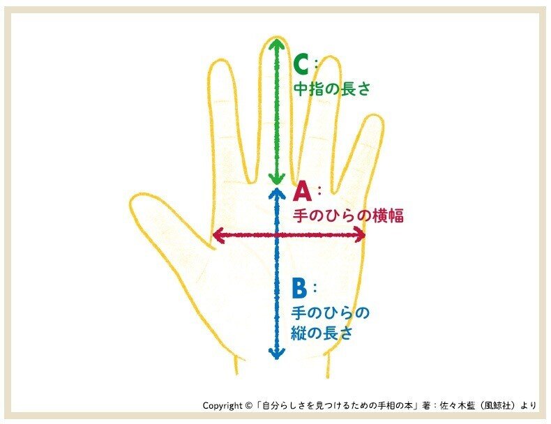 手の形の計測図
