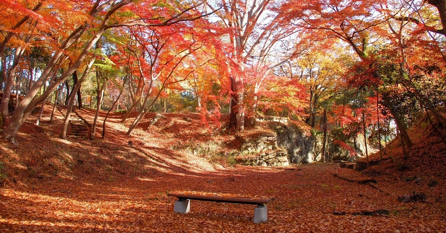 雀宮公園～隠れたスポットから寄居町を代表する紅葉の名所へ～｜寄居