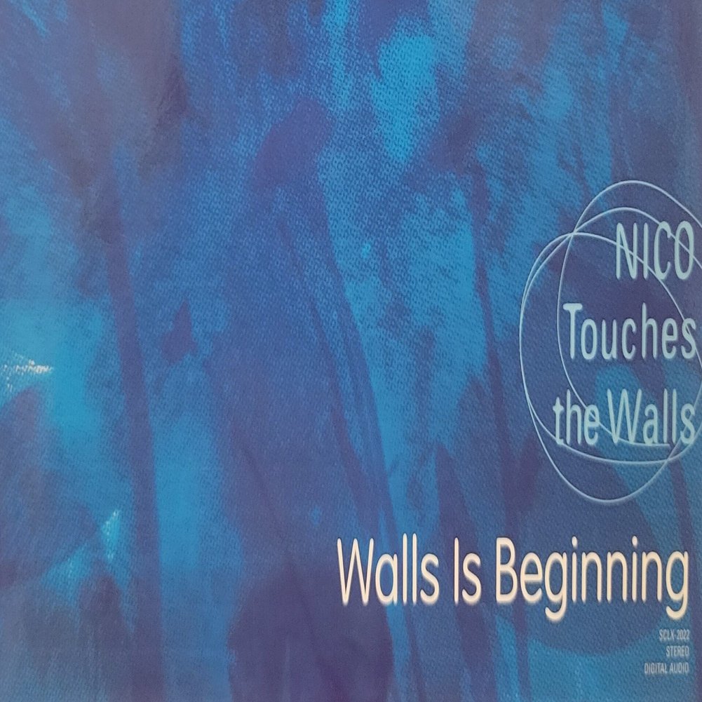 Nico Touches The Walls バンド活動終了について 今思うこと ー2年目の 11月15日 ー Coco You Co Note
