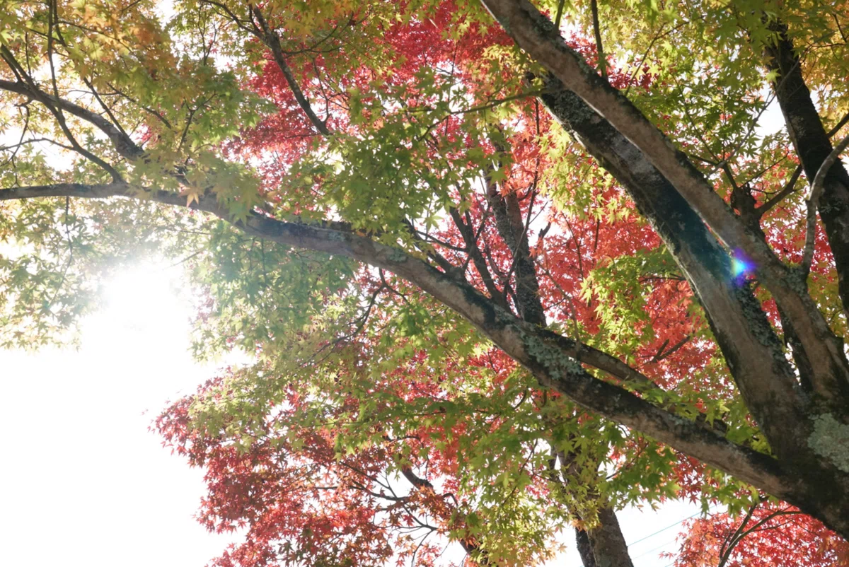 画像22
