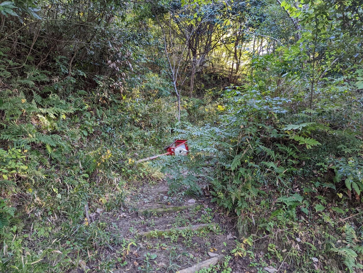 画像18