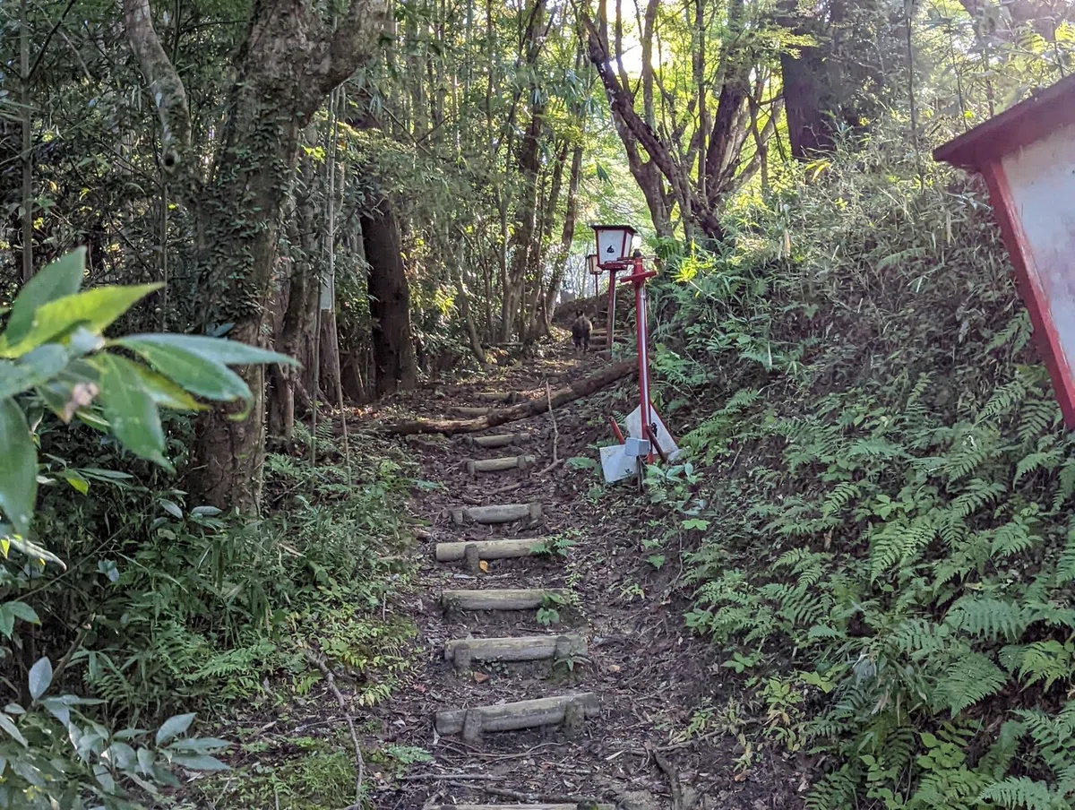 画像21