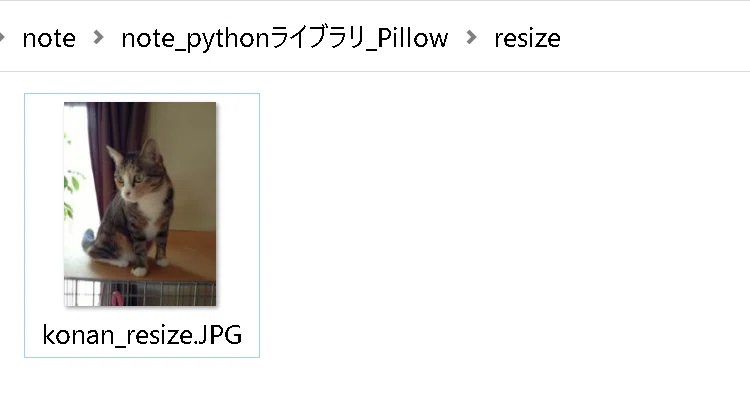 画像7