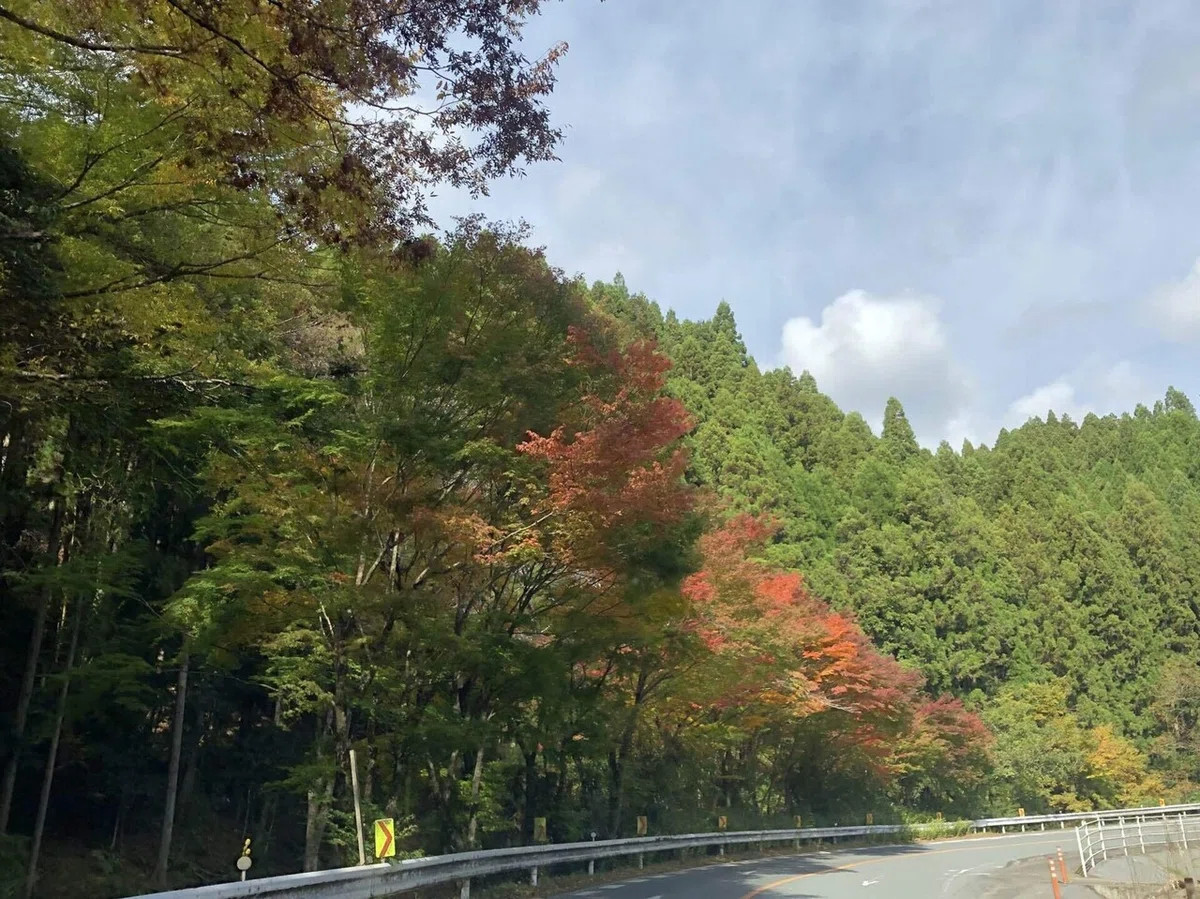画像15