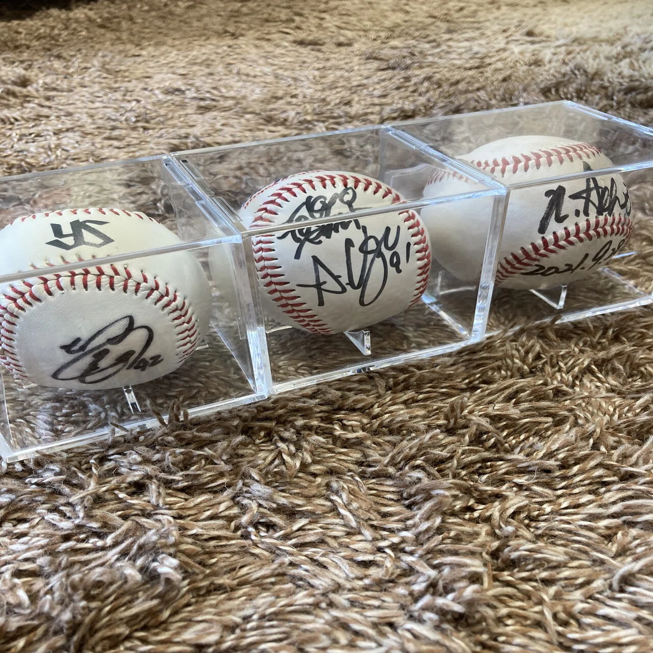 Vol. 111 我が家の家宝 〜プロ野球選手のサイン入りボール〜｜猫ムスメ