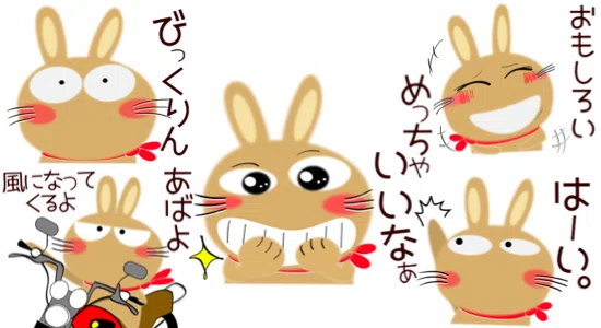画像11