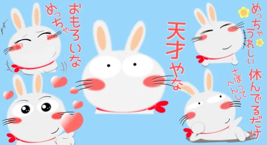 画像12
