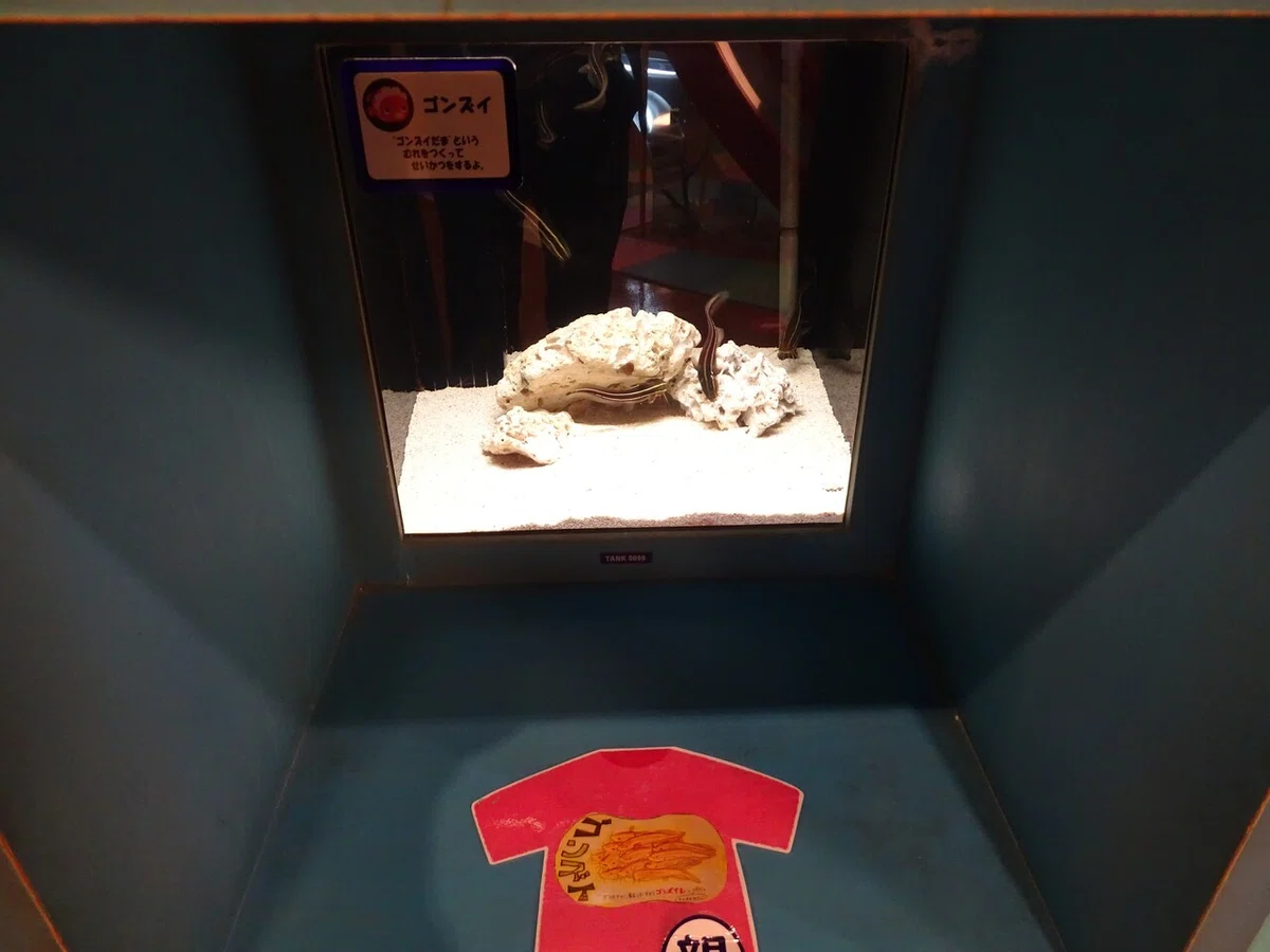 画像170