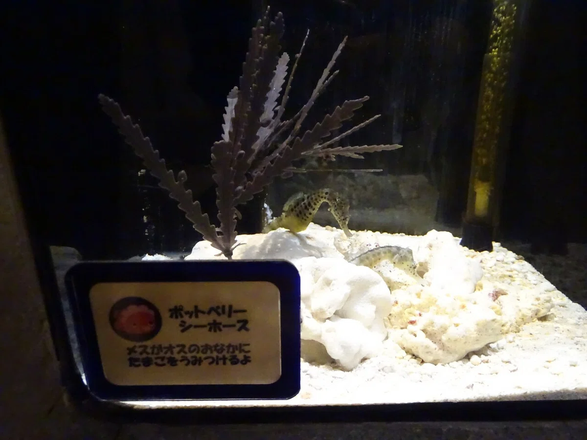 画像136