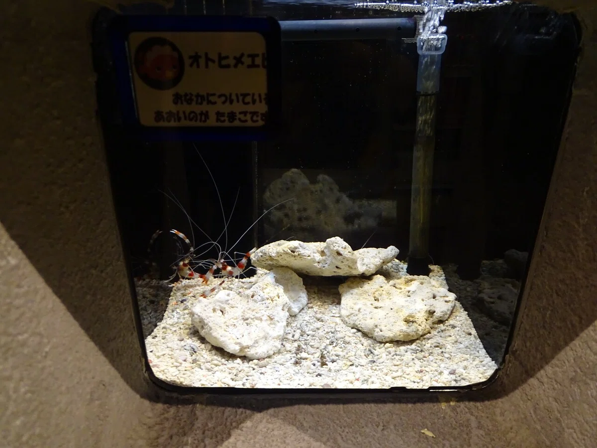 画像135