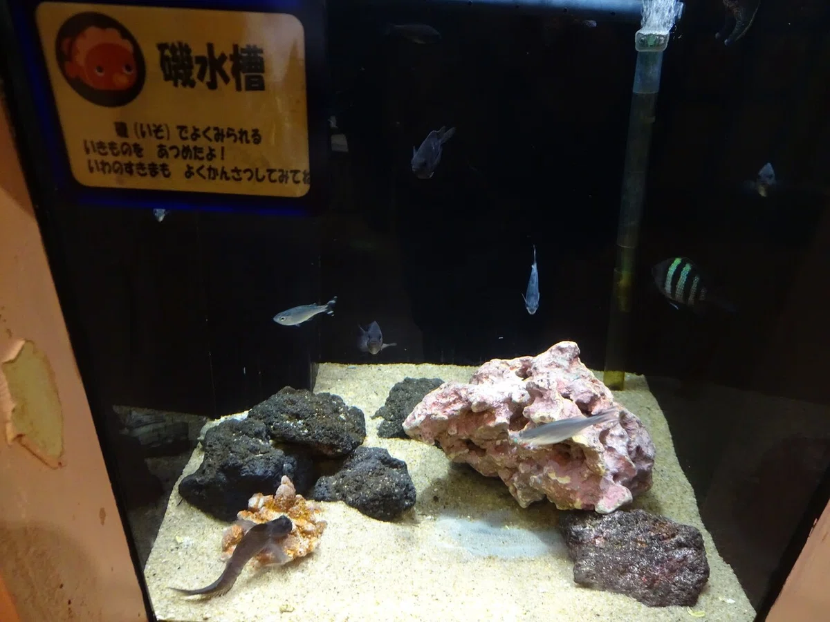 画像158