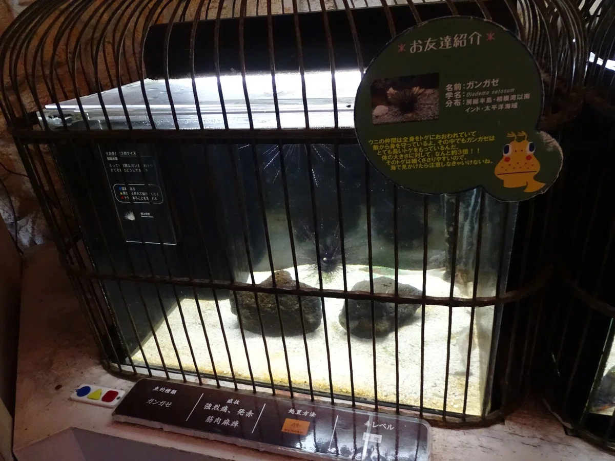 画像120