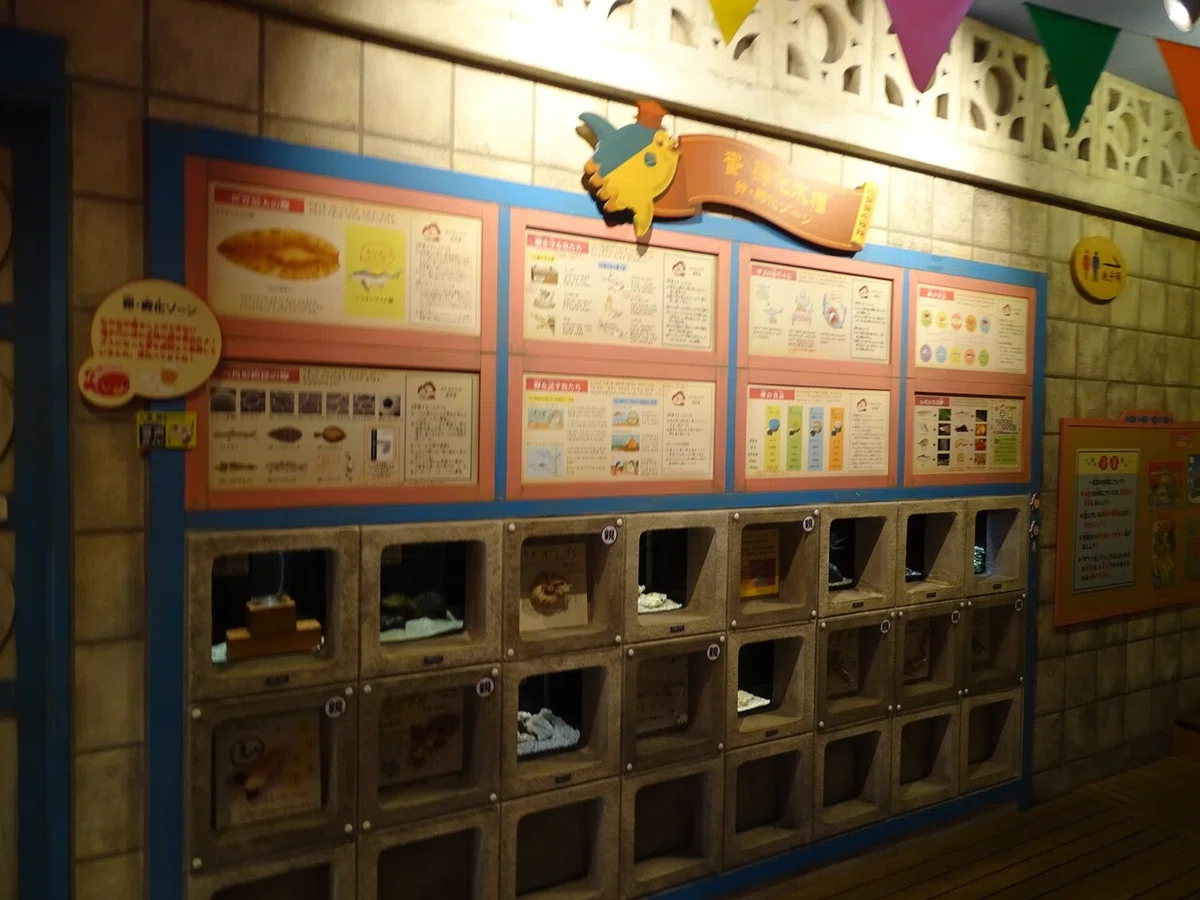 画像129