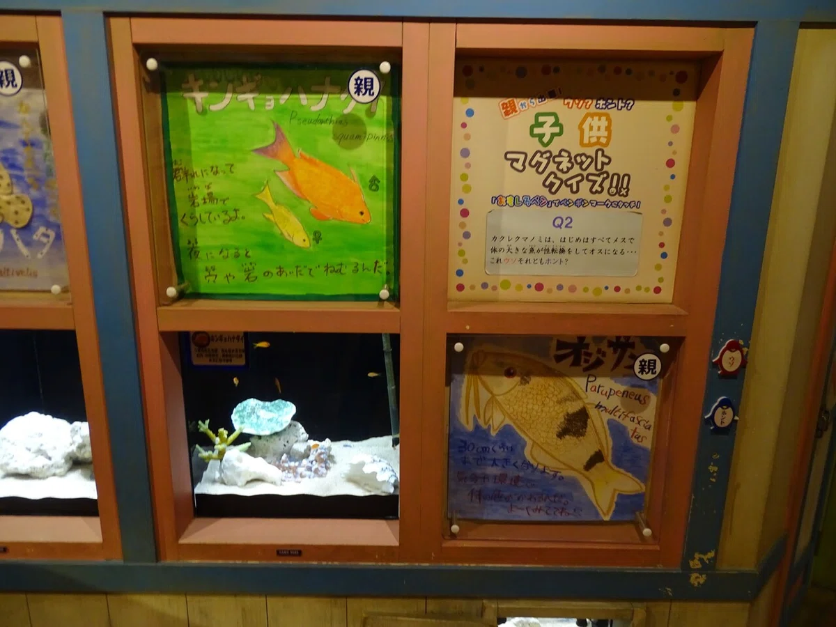 画像142