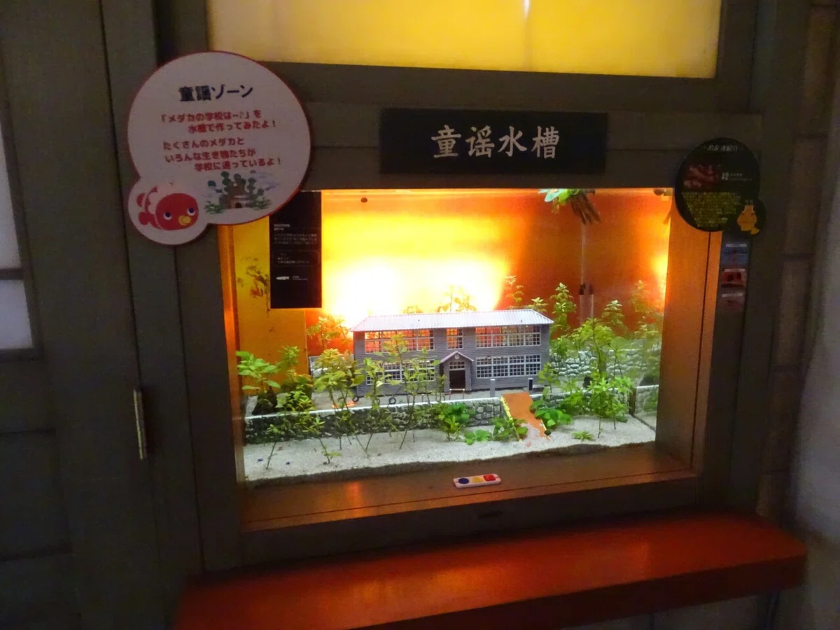 画像124