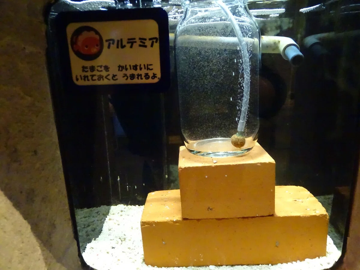 画像132