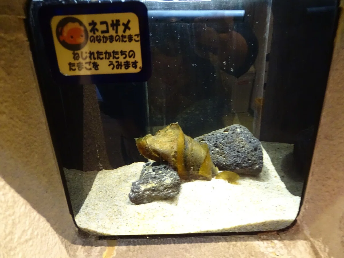 画像133