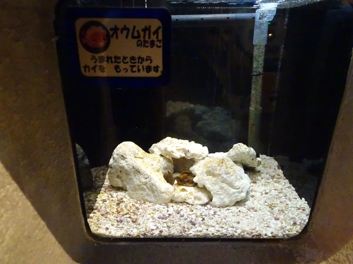 画像134