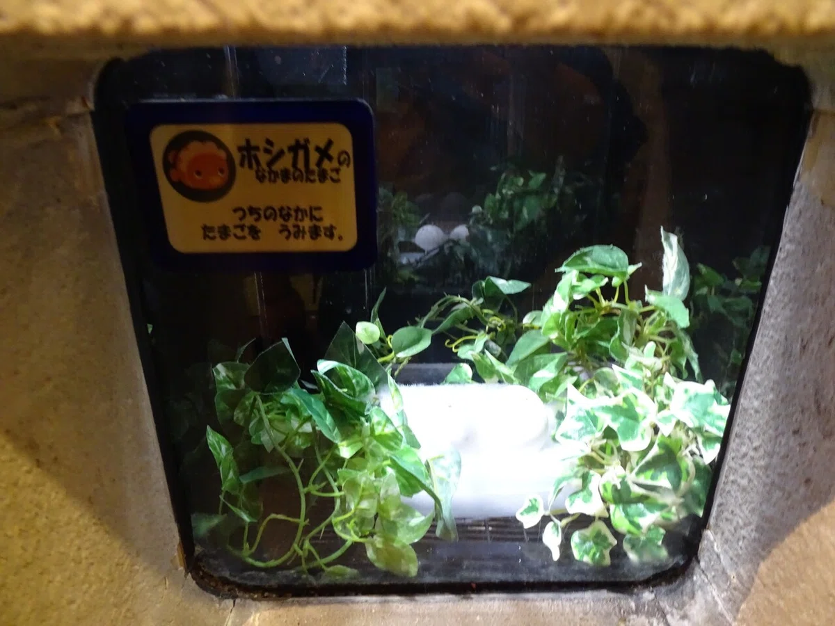 画像139