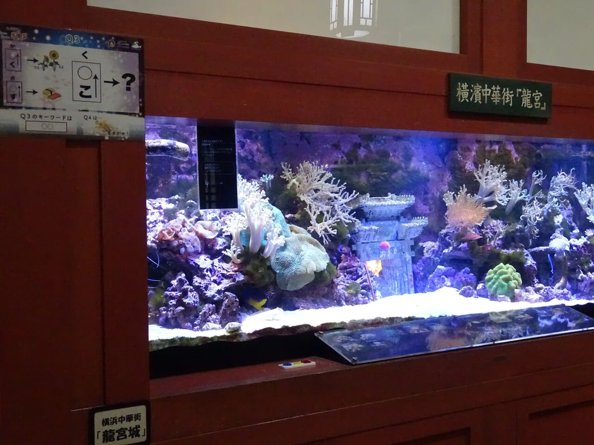 画像101