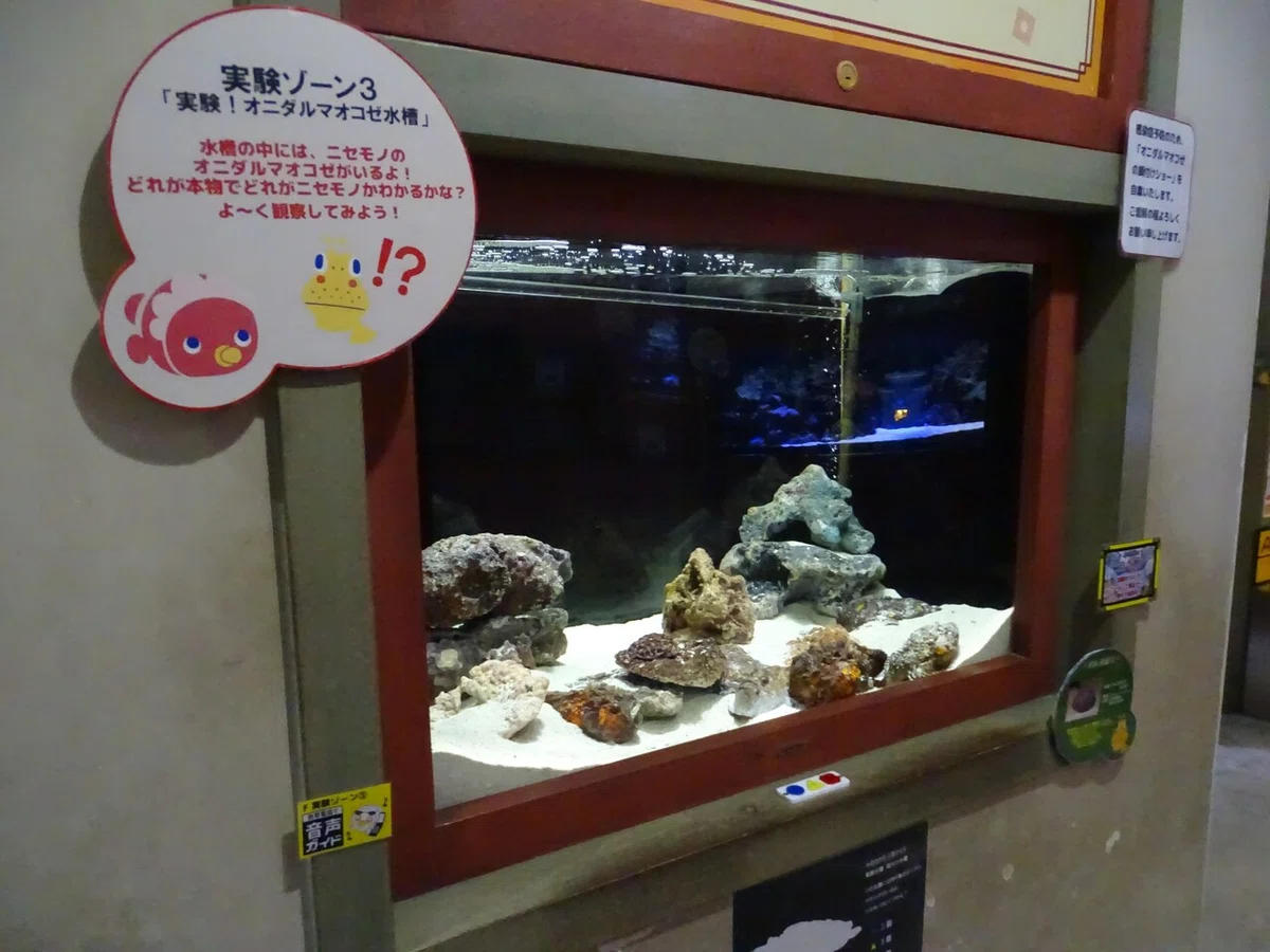 画像110